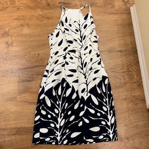 Navy and White Trina Turk dress